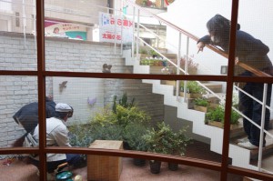 gallery shop SORA